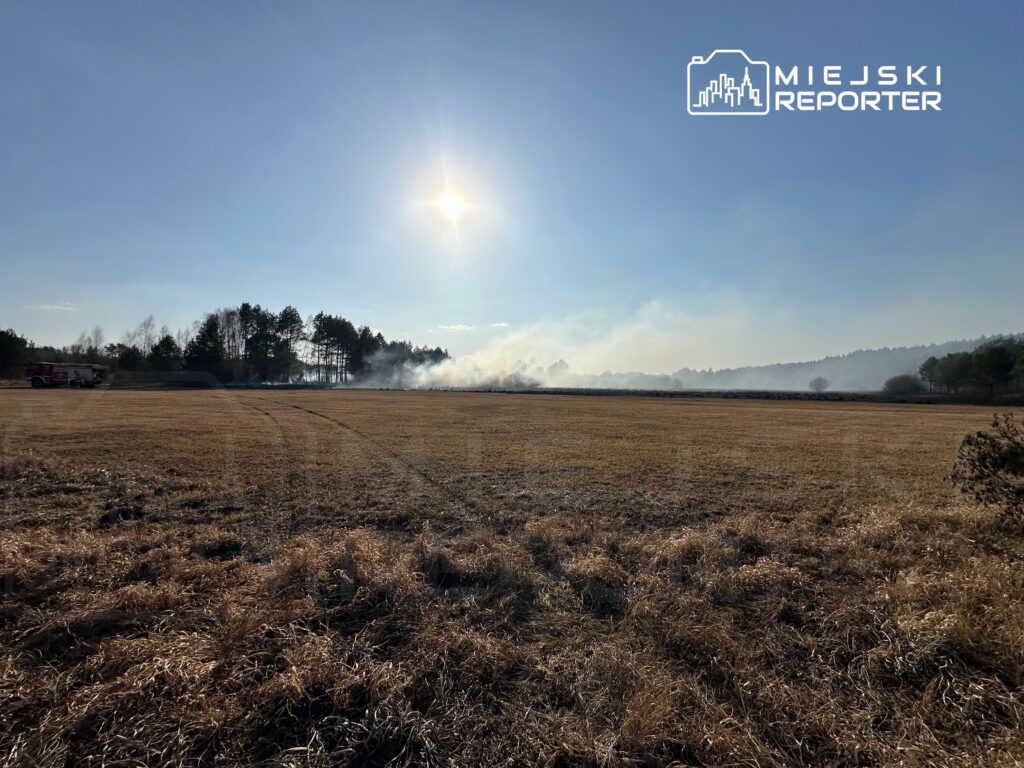 Na otwartej przestrzeni widać dym unoszący się z płonącej trawy, w tle drzewa i pojazd strażacki.