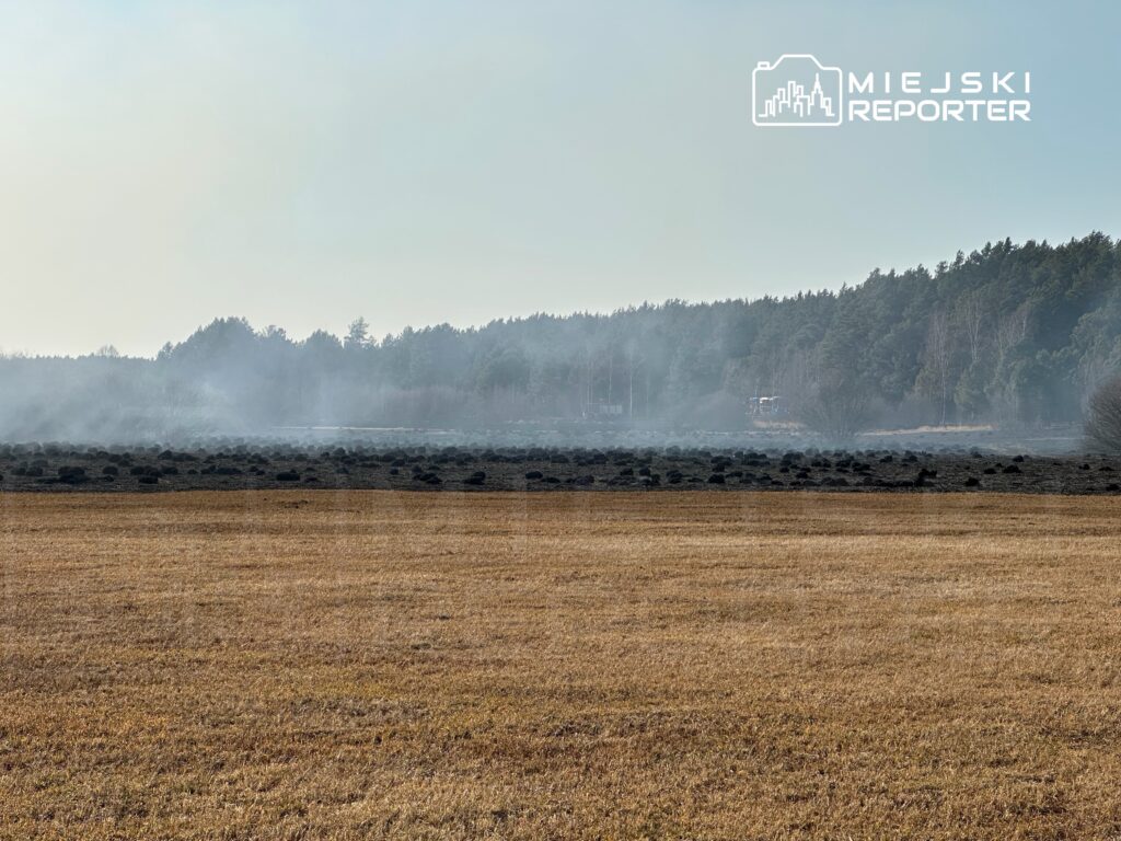 Dym unoszący się nad wypaloną łąką w otoczeniu lasu, na horyzoncie widoczny pojazd gaśniczy.