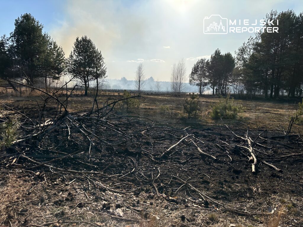 Wyschnięta, poparzona ziemia z powalonymi gałęziami, w tle widoczne dymy z pożaru w lesie.