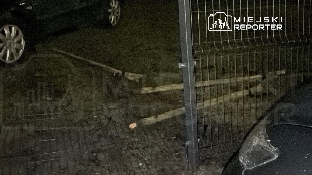 Na podjeździe leżą drewniane kłody obok zaparkowanego samochodu, w tle widoczna metalowa brama.