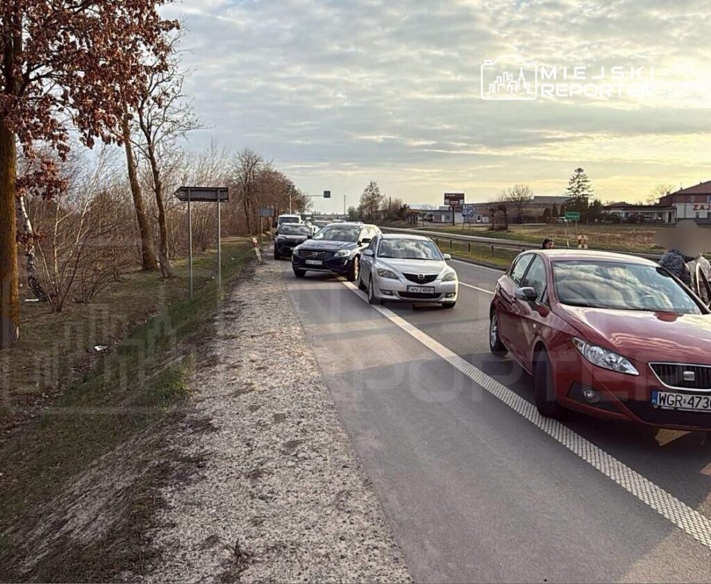 Ruch samochodowy na drodze krajowej, z kilkoma pojazdami zatrzymanymi na poboczu w otoczeniu drzew.