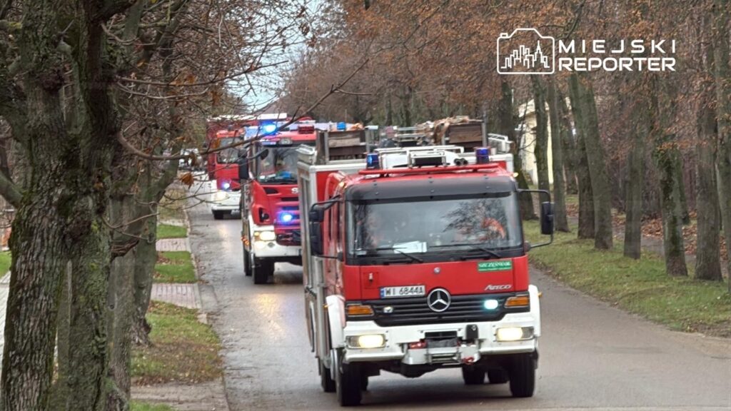 Czerwone wozy strażackie z włączonymi sygnałami świetlnymi jadą ulicą otoczoną drzewami.