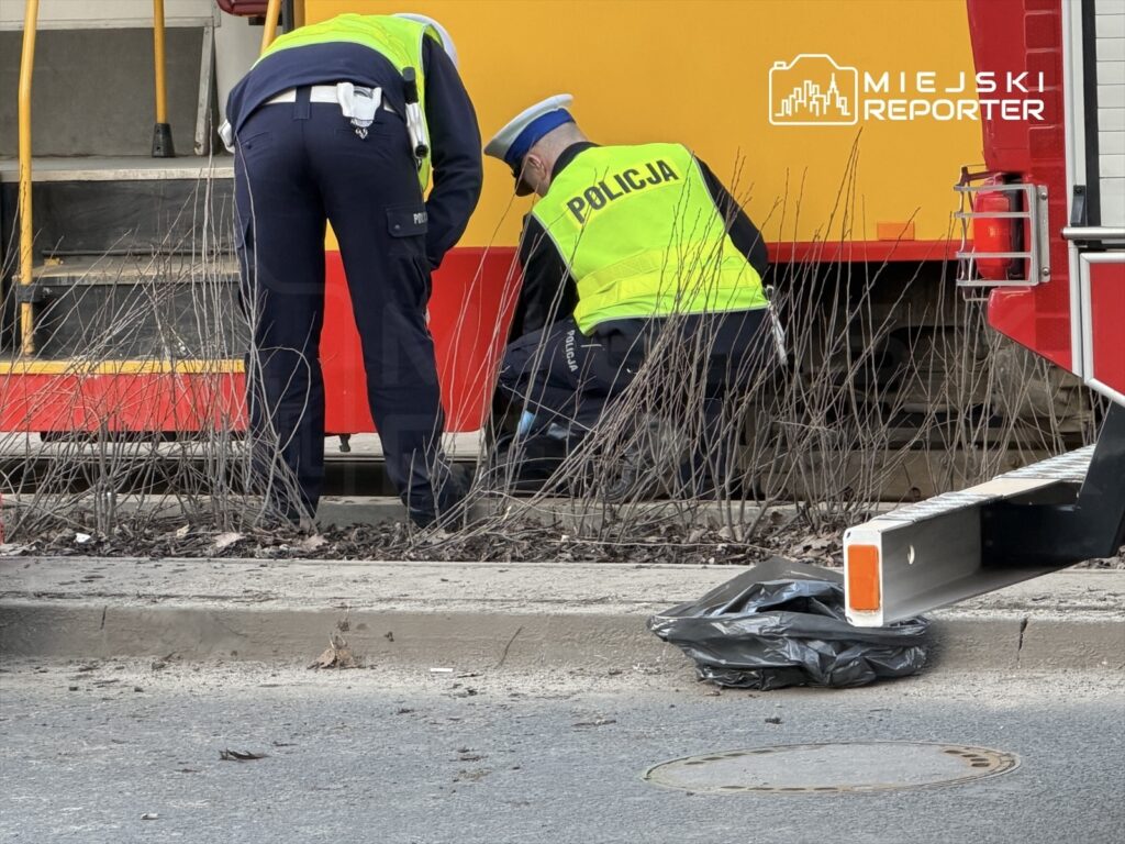 Dwaj policjanci w zielonych kamizelkach przeszukują ziemię obok czerwonego pojazdu strażackiego.