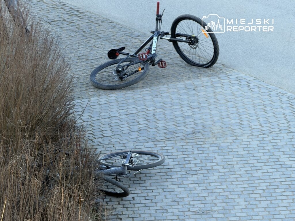 Dwa rowery leżą na kostce brukowej, obok krzewów, w miejskim otoczeniu.