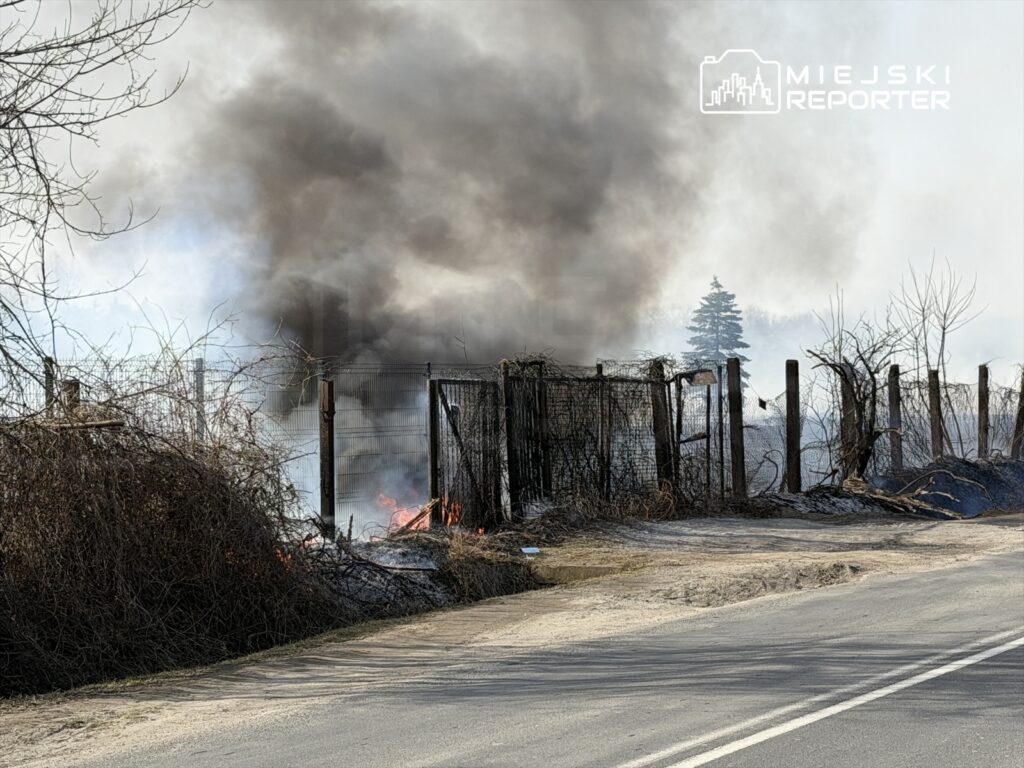 Pożar traw i krzewów w pobliżu ogrodzenia, z dymem unoszącym się nad płonącymi gałęziami.