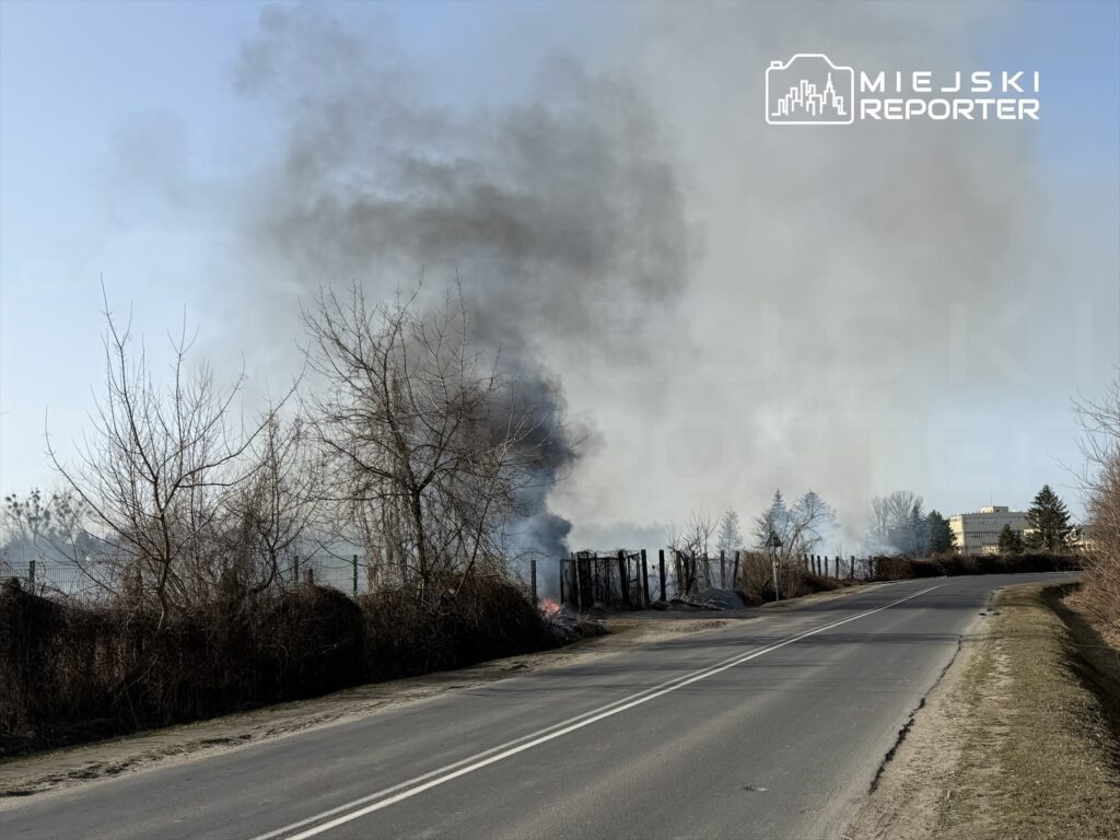 W tle dym unoszący się z pożaru, w pierwszym planie droga z widocznymi zaroślami i ogrodzeniem.