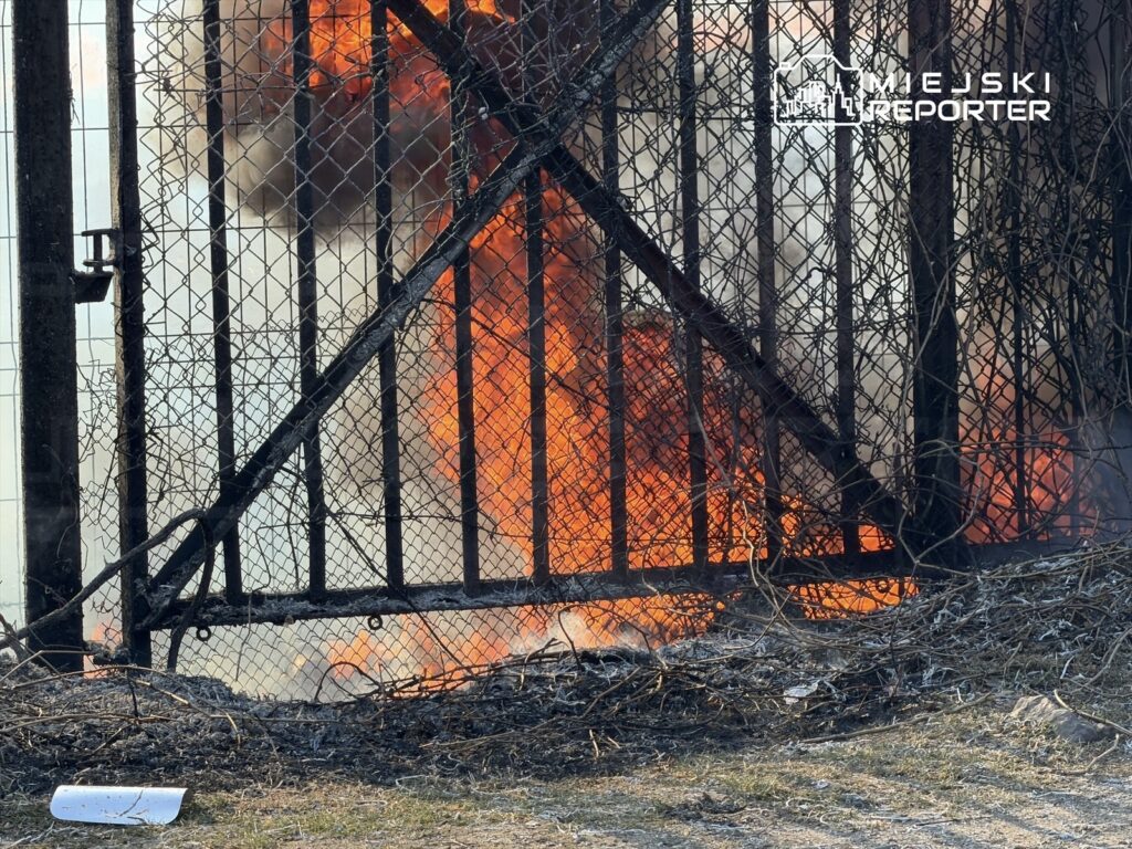 Płonące ognisko za siatką ogrodzeniową, dym unoszący się w powietrzu, spalone gałęzie na ziemi.