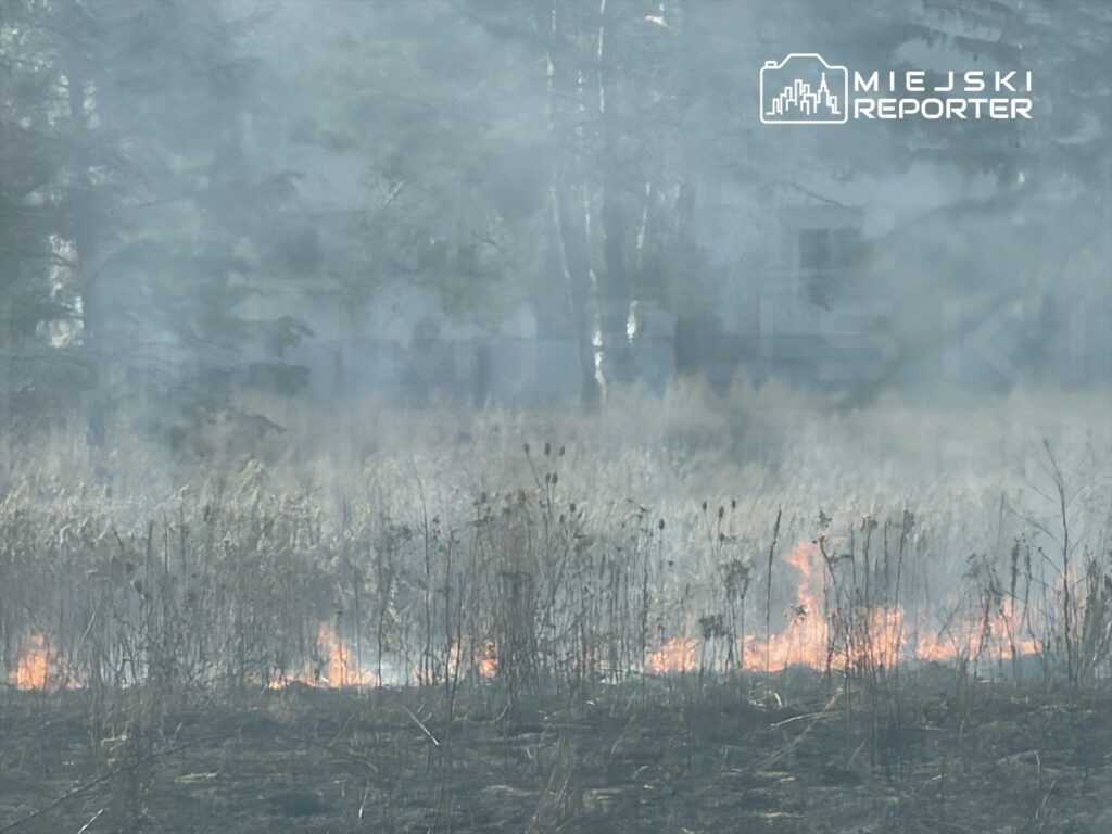 Ogień trawi trawę na otwartej przestrzeni, otoczonej dymem i zaroślami.