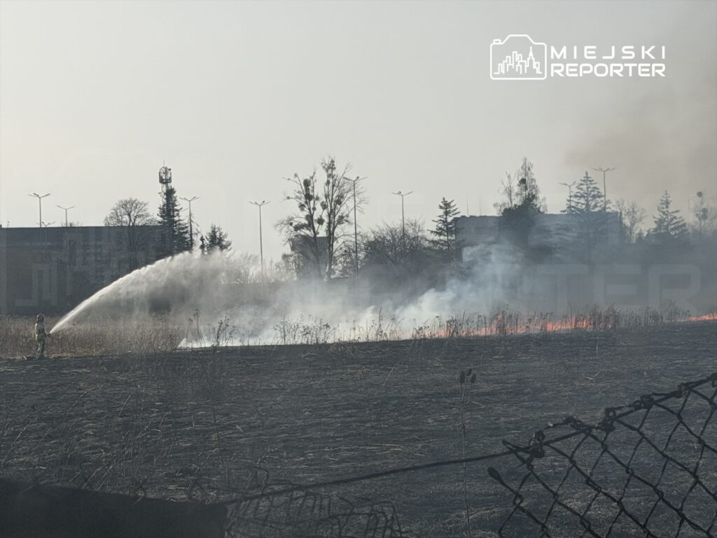 Strażak gaszący pożar trawy za pomocą strumienia wody na polu, w tle widać dym i płomienie.