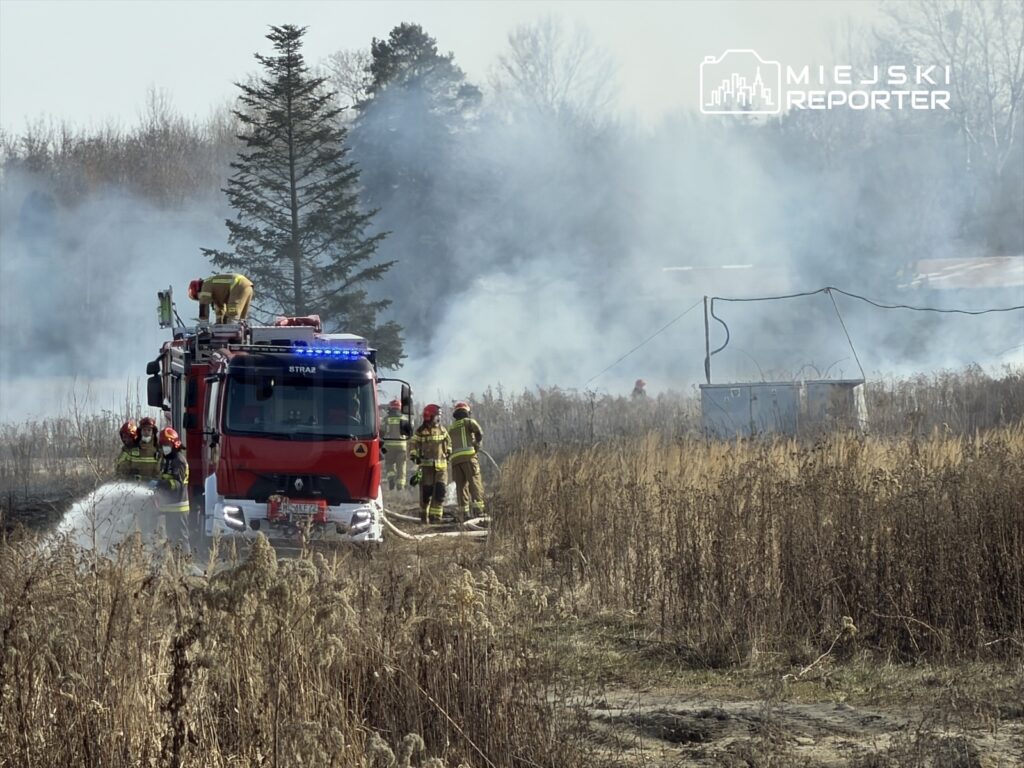 Strażacy gaszą pożar w zaroślach, używając węża strażackiego z wozu gaśniczego. W tle widoczne są kłęby dymu.
