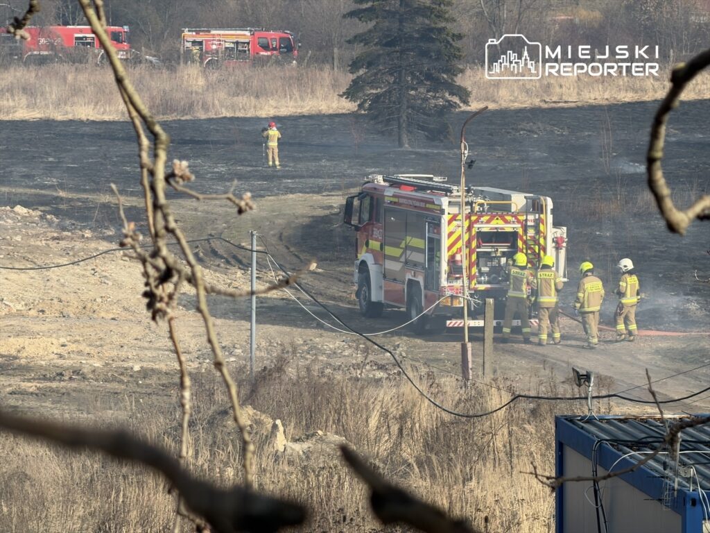 Grupa strażaków w żółtych mundurach pracuje przy wozie strażackim na terenie pożaru, w tle widoczne spalone trawy.