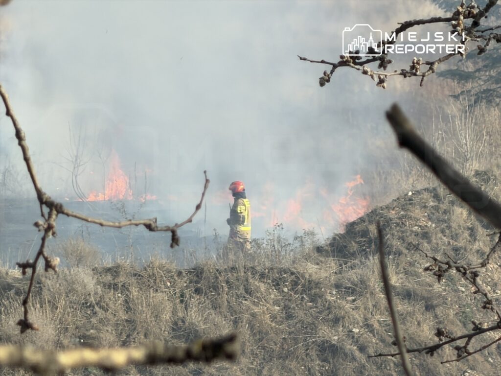 Strażak w hełmie i mundurze obserwuje pożar trawy w zaroślach, otoczone dymem i płomieniami.