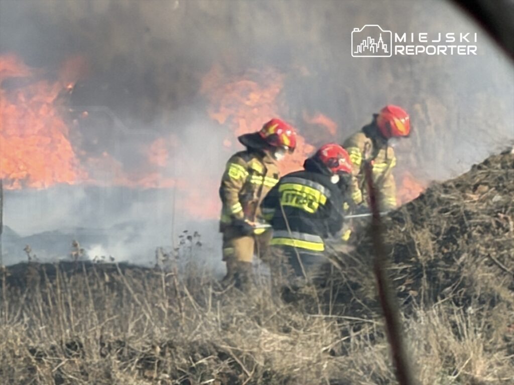 Czterech strażaków w mundurach gaśniczych walczy z pożarem trawy w otwartym terenie, w tle widoczne płomienie i dym.
