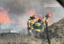 Czterech strażaków w mundurach gaśniczych walczy z pożarem trawy w otwartym terenie, w tle widoczne płomienie i dym.