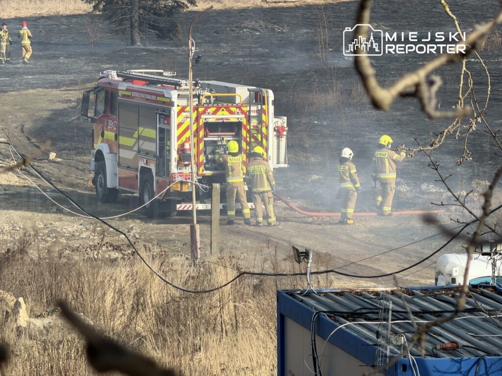Strażacy w mundurach gaszą pożar trawy, używając węża strażackiego, obok wozu strażackiego na zniszczonym terenie.