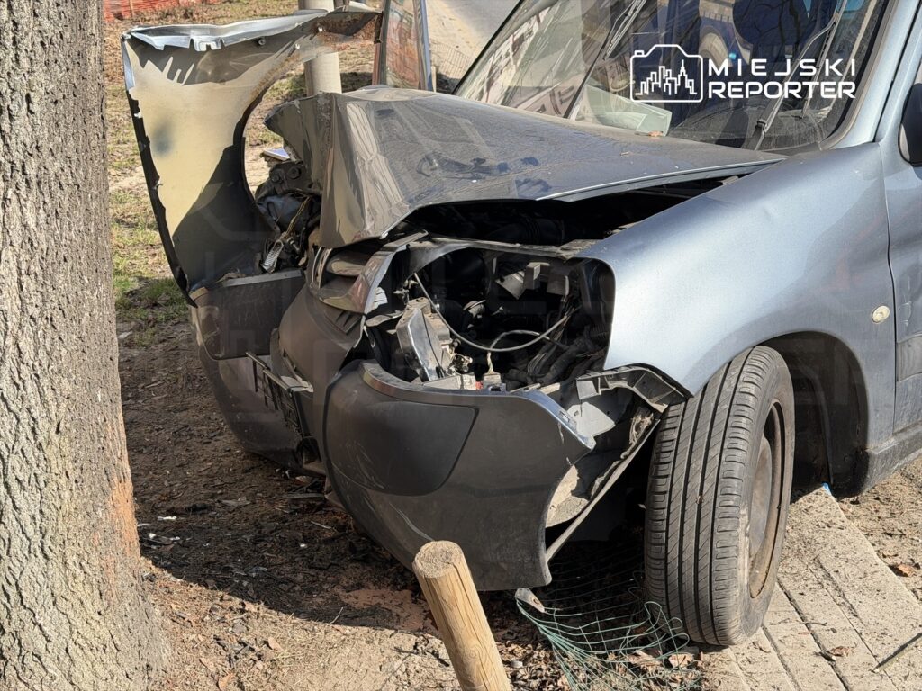 Uszkodzony samochód osobowy z wgniecioną przednią częścią stoi przy drzewie na trawniku.