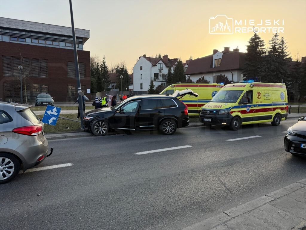 Czarny samochód osobowy zatrzymał się obok przewróconego znaku drogowym, a obok niego stoją ratownicy medyczni i policjanci.