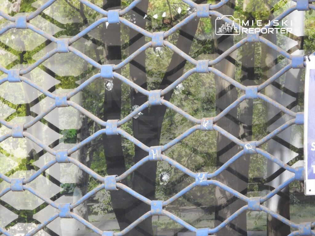 Zamknięta witryna sklepu zabezpieczona niebieską kratą, w tle odbicia zieleni drzew.