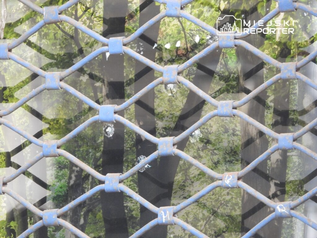 Nieczytelna siatka metalowa z niebieską farbą, z odbiciem drzew w tle.