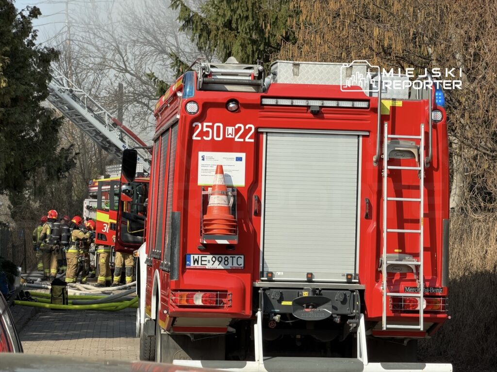Czerwony wóz strażacki z drabiną oraz grupa strażaków w hełmach, przygotowujących sprzęt do akcji ratunkowej w zaroślach.