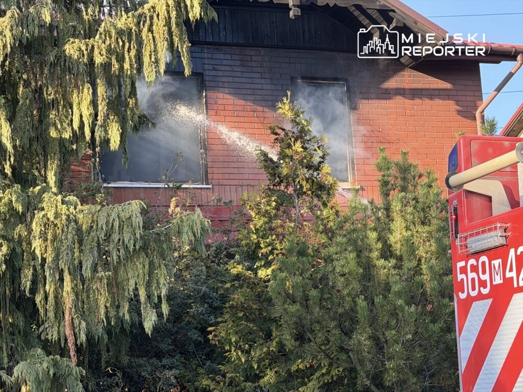 Strażak używa węża gaśniczego do gaszenia pożaru w oknie budynku, otoczonego zielenią.