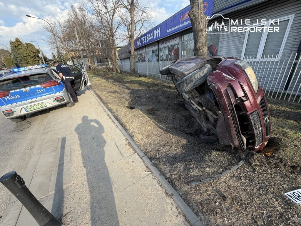 Policjant sprawdzający przewrócone auto na poboczu drogi, obok radiowozu z włączonymi sygnałami świetlnymi.