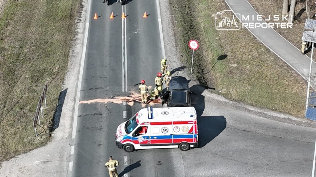 Grupa strażaków w mundurach zabezpiecza miejsce wypadku drogowego, obok stoi karetka pogotowia. Na jezdni widoczny plama płynu.