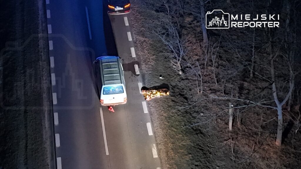 Samochód osobowy zatrzymany przy poboczu drogi, obok leży zniszczony motocykl, w tle drzewa i ciemne niebo.