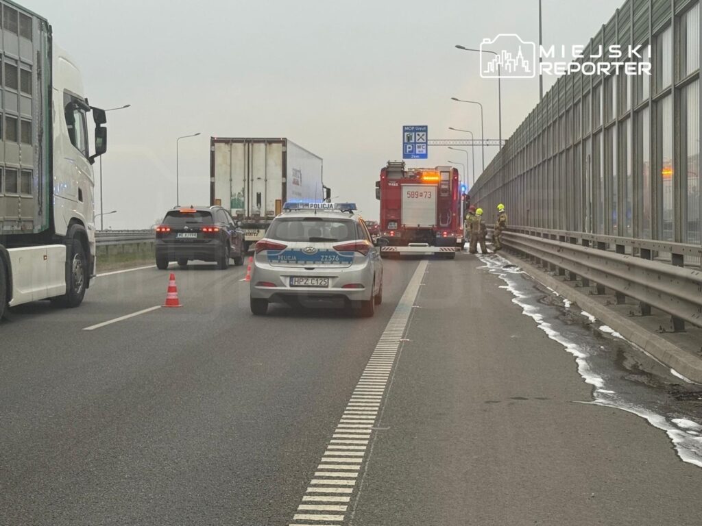 Na drodze stoi policyjny radiowóz, obok niego zjeżdżająca ciężarówka i samochód osobowy, a w tle widać straż pożarną.