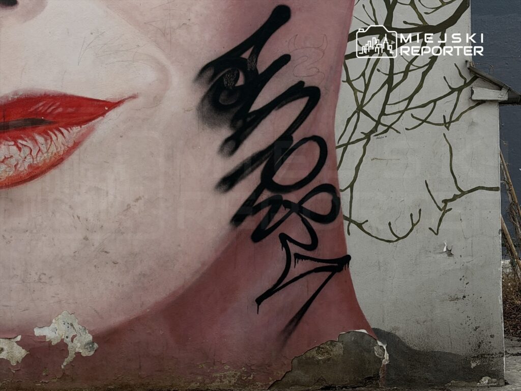 Mural z wizerunkiem kobiecej twarzy z czerwonymi ustami i graffiti w formie napisu na tle szarej ściany.