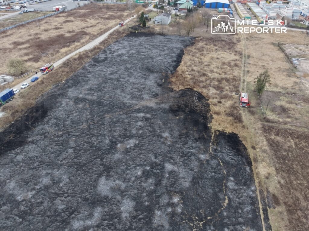 Spalona powierzchnia terenu z widocznymi śladami po pożarze w otoczeniu drzew i budynków, w tle pojazdy strażackie.