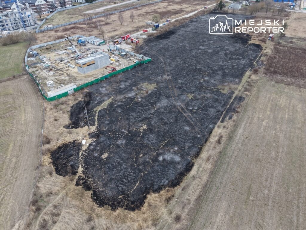 Spalona ziemia w otoczeniu budowy, z widocznymi pozostałościami trawy i zarośli w tle.