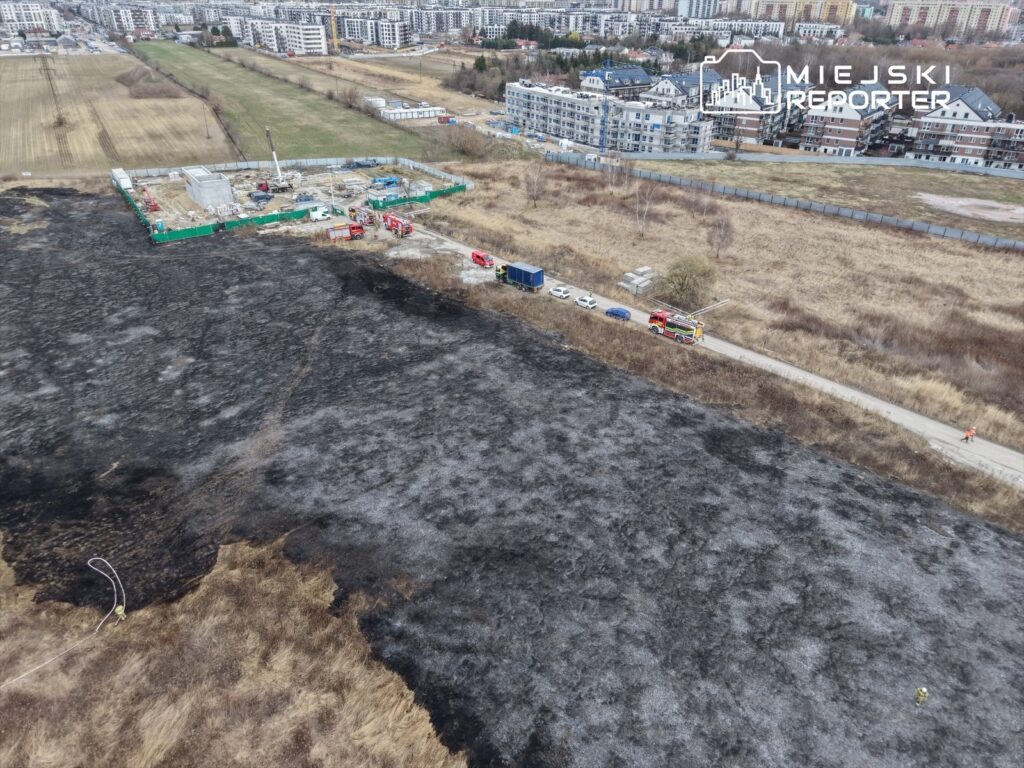 Spalona łąka z widocznymi pojazdami straży pożarnej i ekipą ratunkową w tle, w otoczeniu nowoczesnych budynków.