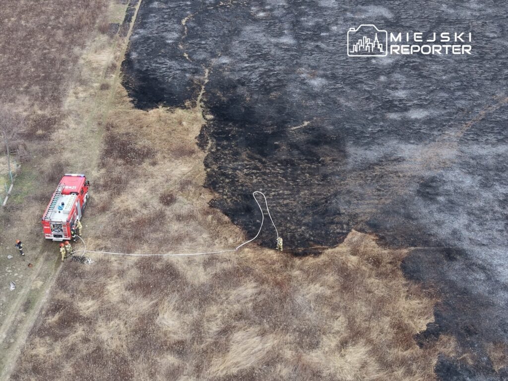 Strażacy na miejscu pożaru, używają węża strażackiego w pobliżu spalonego terenu z wyschniętą trawą.