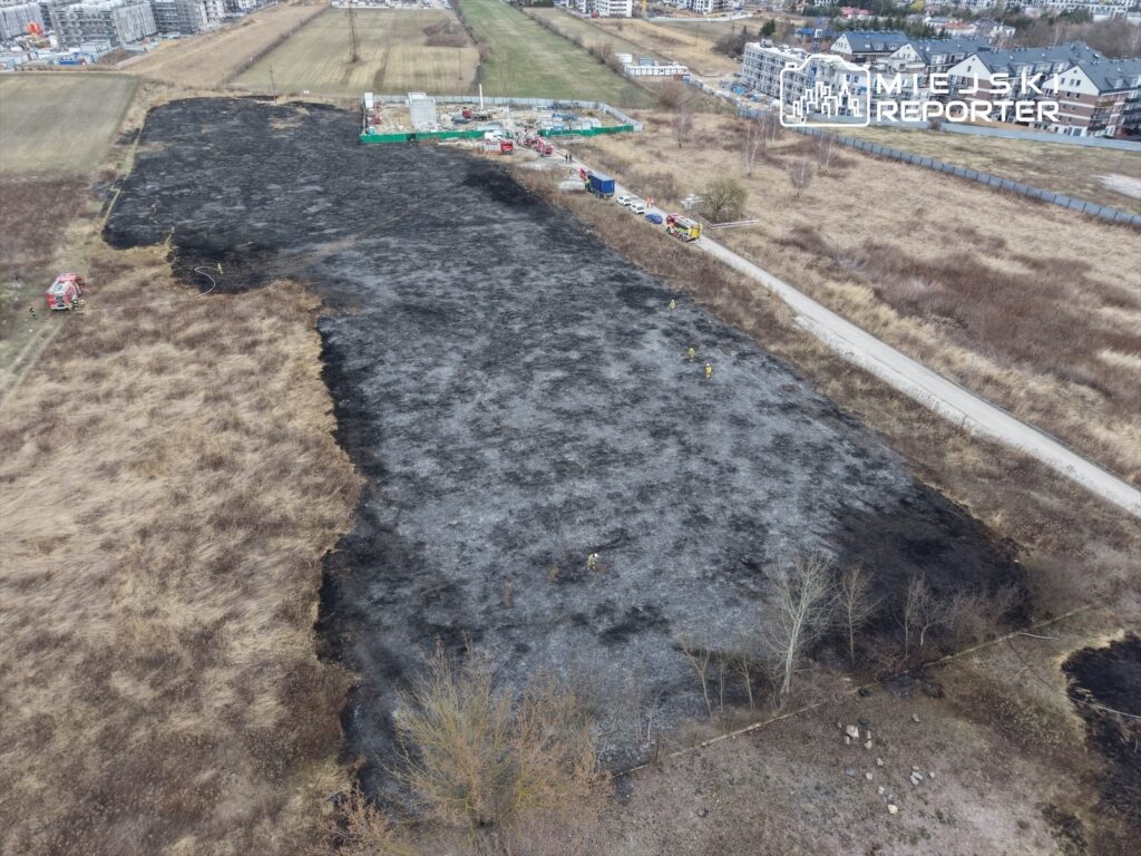 Ziemia pokryta poparzoną trawą, na której pracują strażacy, obok widać samochody gaśnicze i budynki mieszkalne.