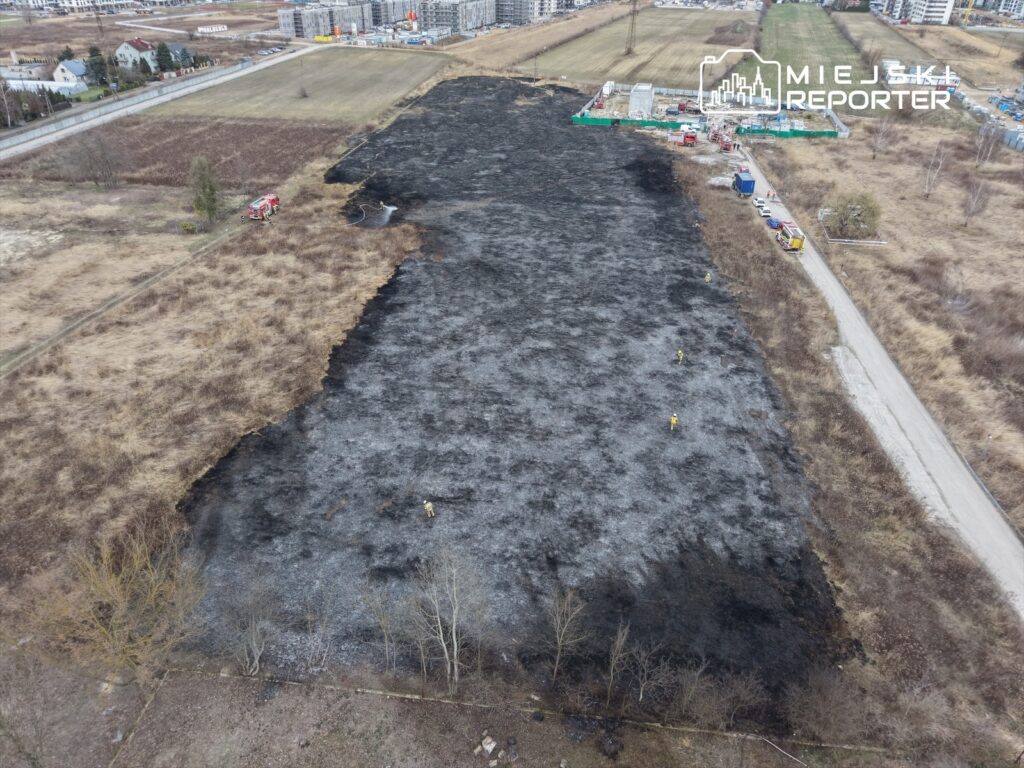 Płonąca łąka z widocznymi śladami pożaru, w tle ekipa strażaków i nowoczesne budynki.