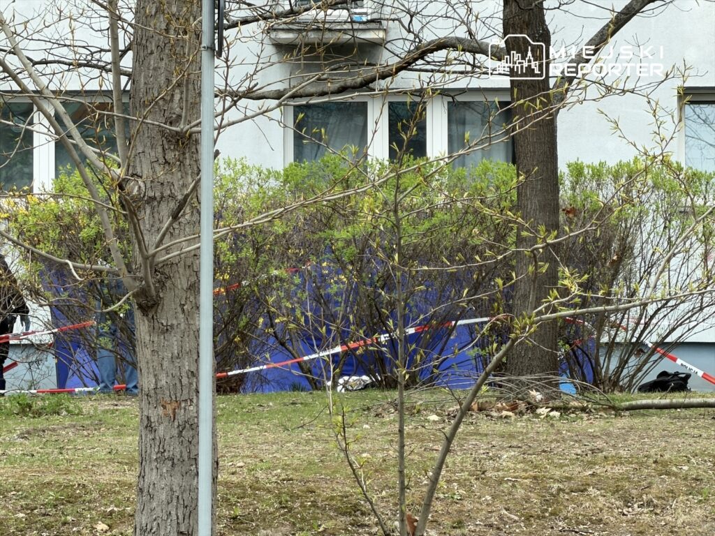 W tle widoczna niebieska tkanina otoczona taśmą zabezpieczającą, w otoczeniu drzew i krzewów.