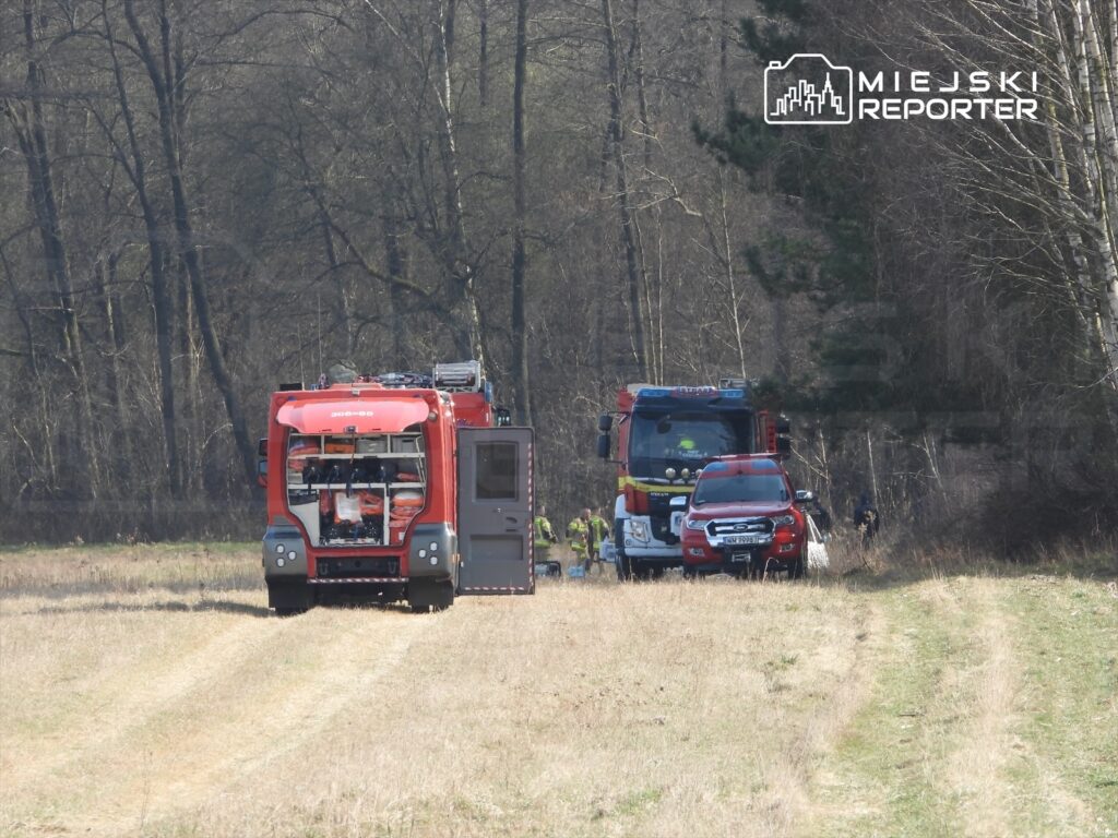 Dwa wozy strażackie stoją na leśnej drodze, a strażacy przygotowują sprzęt w otoczeniu drzew i łąki.