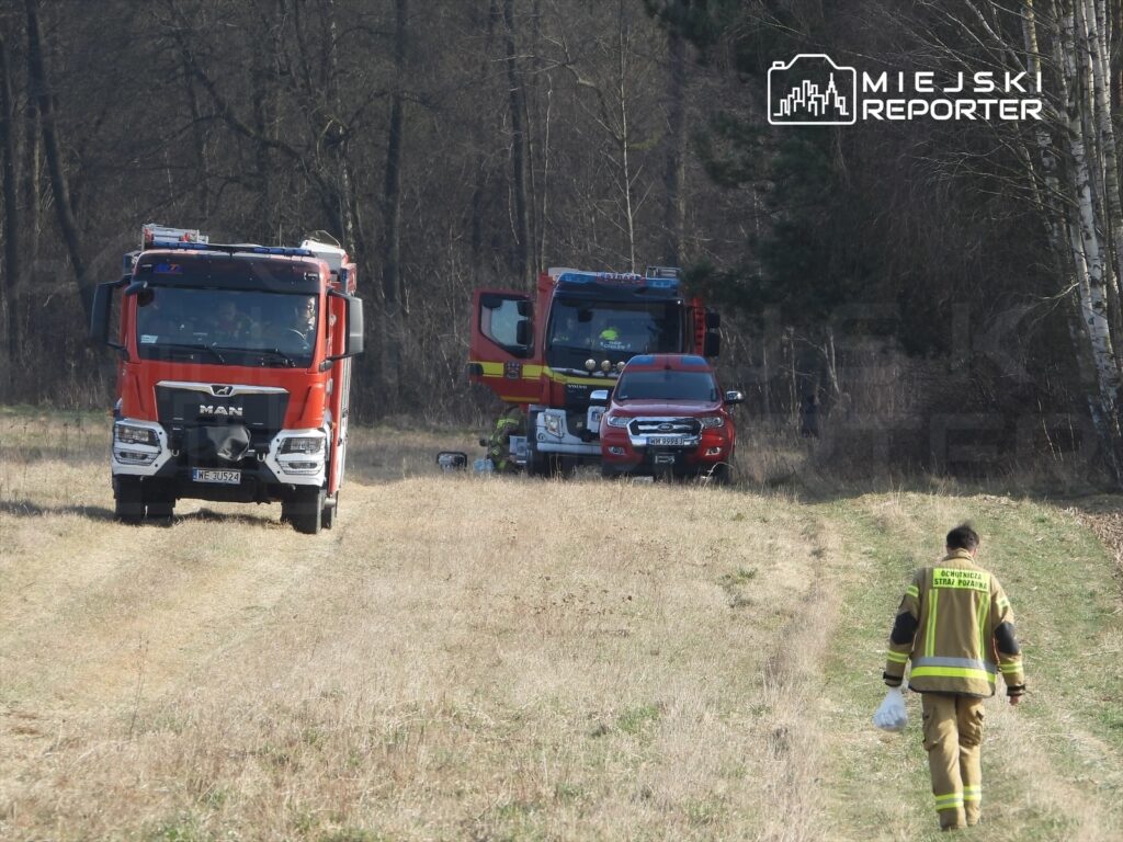 Strażak w mundurze idzie w kierunku dwóch wozów strażackich zaparkowanych na polu w lesie.