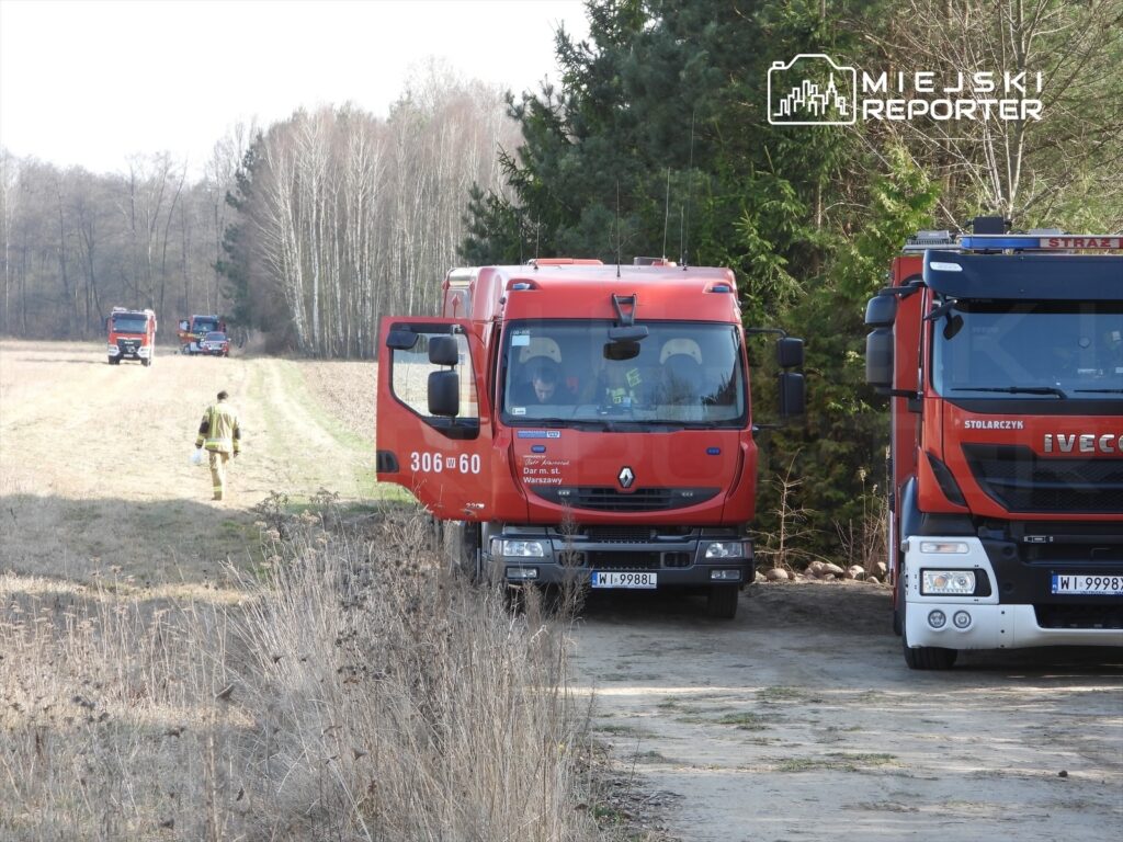 Strażacy w mundurach idą w kierunku pól, obok parkujące samochody gaśnicze na leśnej drodze.