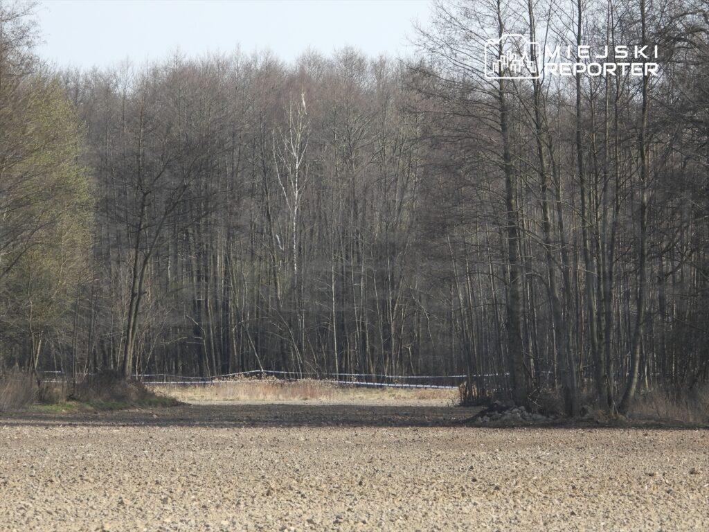Pusta, zaorana działka otoczona drzewami, z widoczną niebieską taśmą w tle.