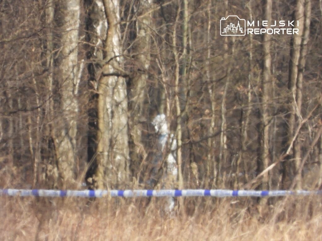 W lesie, na tle drzew, widoczna nieostro postać w białym ubraniu, otoczona niebieską taśmą.