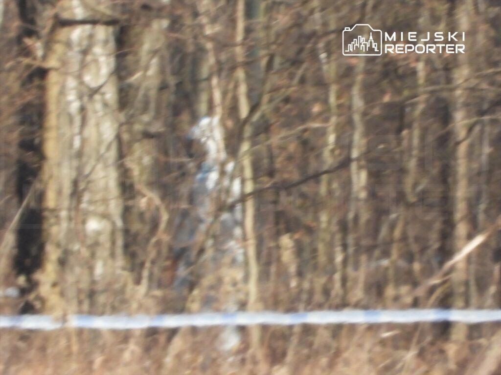 Zamglony las z drzewami w tle, wśród gałęzi widoczny fragment białego obiektu.