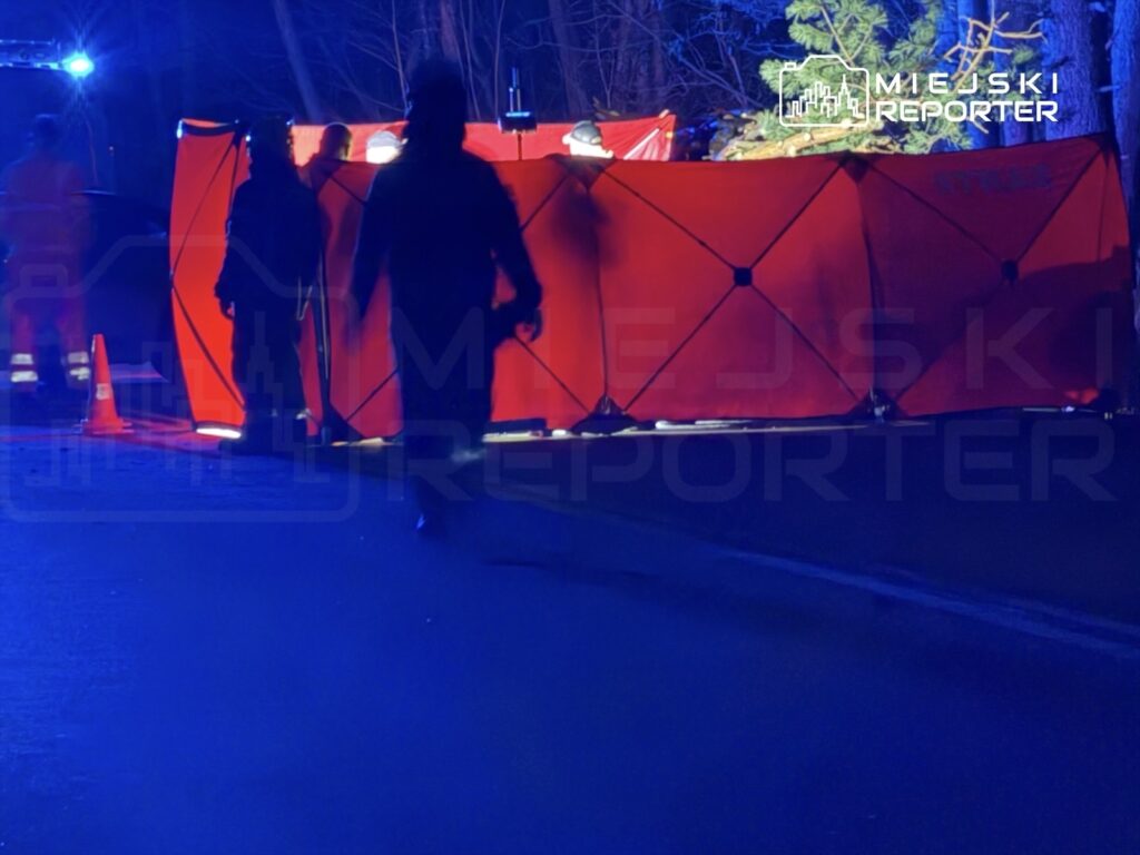 Grupa ratowników w odblaskowych strojach przemieszcza się w ciemnym lesie obok czerwonego namiotu ratunkowego.