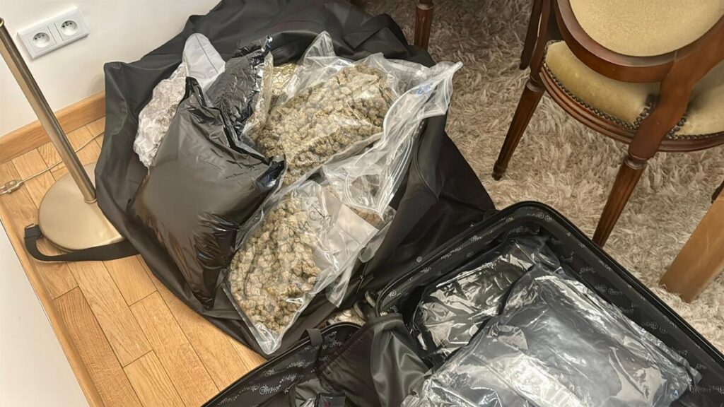 Duża torba wypełniona przezroczystymi woreczkami z suszem roślinnym leży na podłodze w pomieszczeniu z jasnym dywanem.