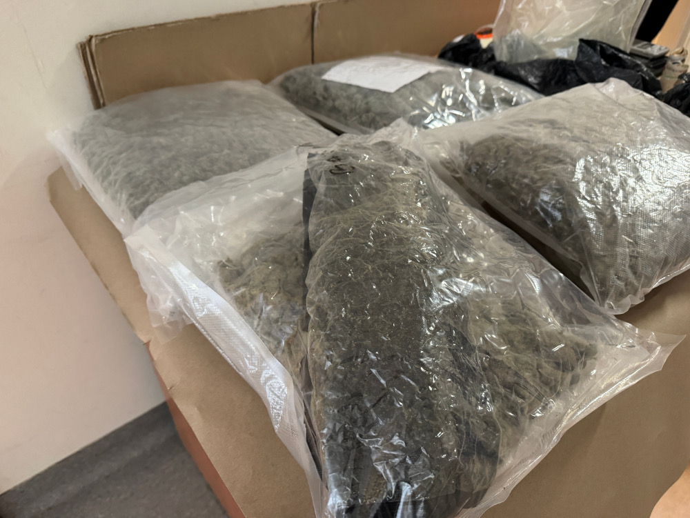 Sześć przezroczystych worków z suszem leży na kartonie w pomieszczeniu, wypełnionych ciemnym materiałem.