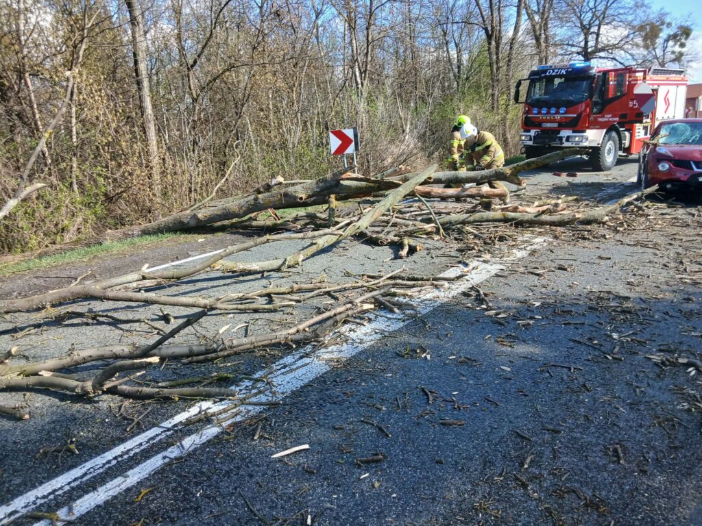 Strażacy usuwają połamane gałęzie z drogi, obok stoi wóz strażacki, a w tle widać zalesiony teren.