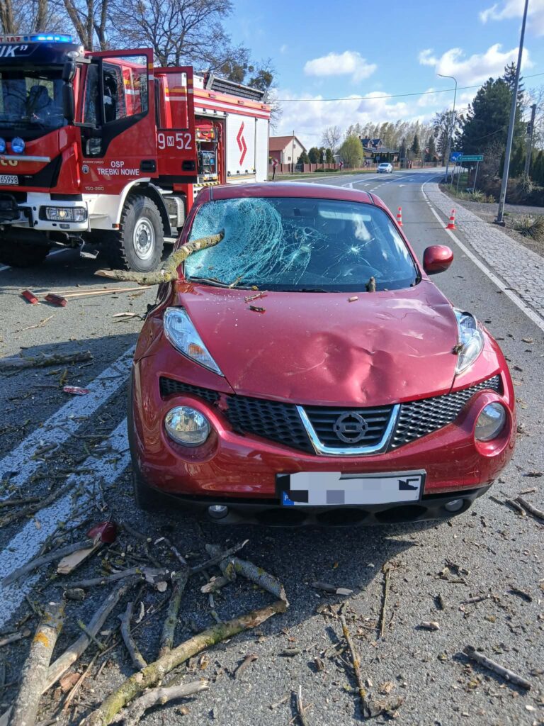 Czerwony samochód osobowy z wgniecionym dachem stoi na drodze, obok wozu strażackiego, otoczony gałęziami.