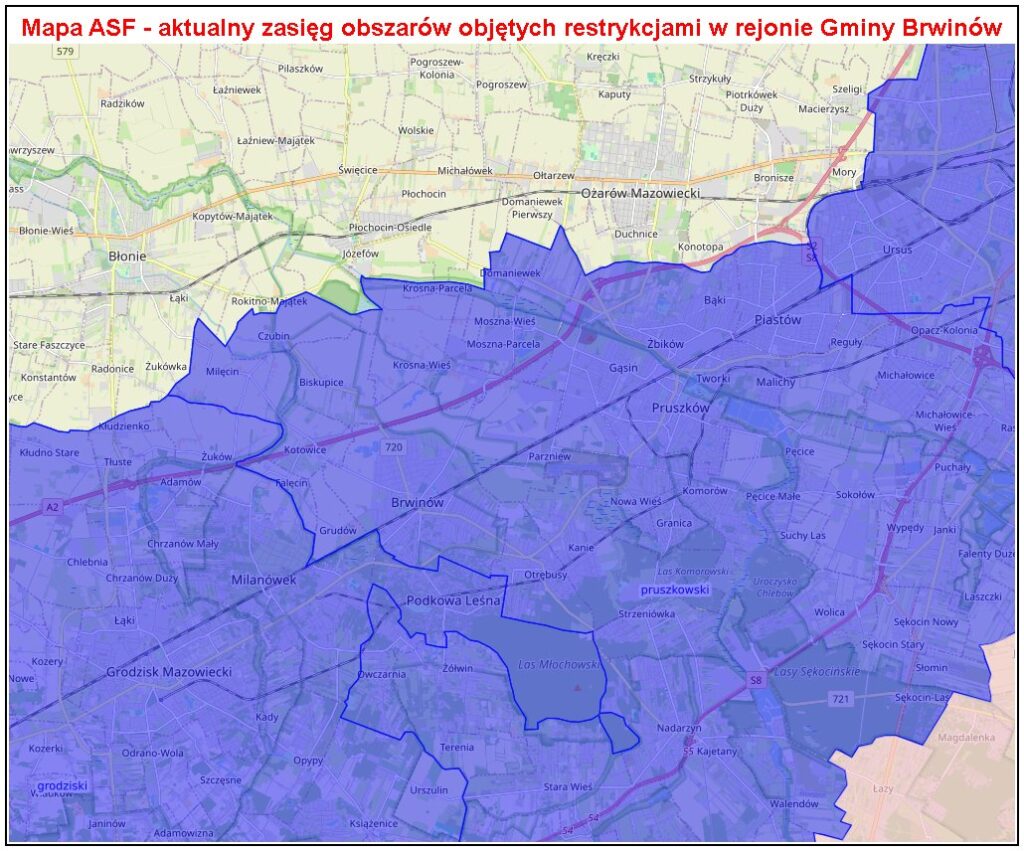 Mapa zasięgu obszarów objętych restrykcjami w rejonie Gminy Brwinów, z oznaczeniem granic w kolorze niebieskim.