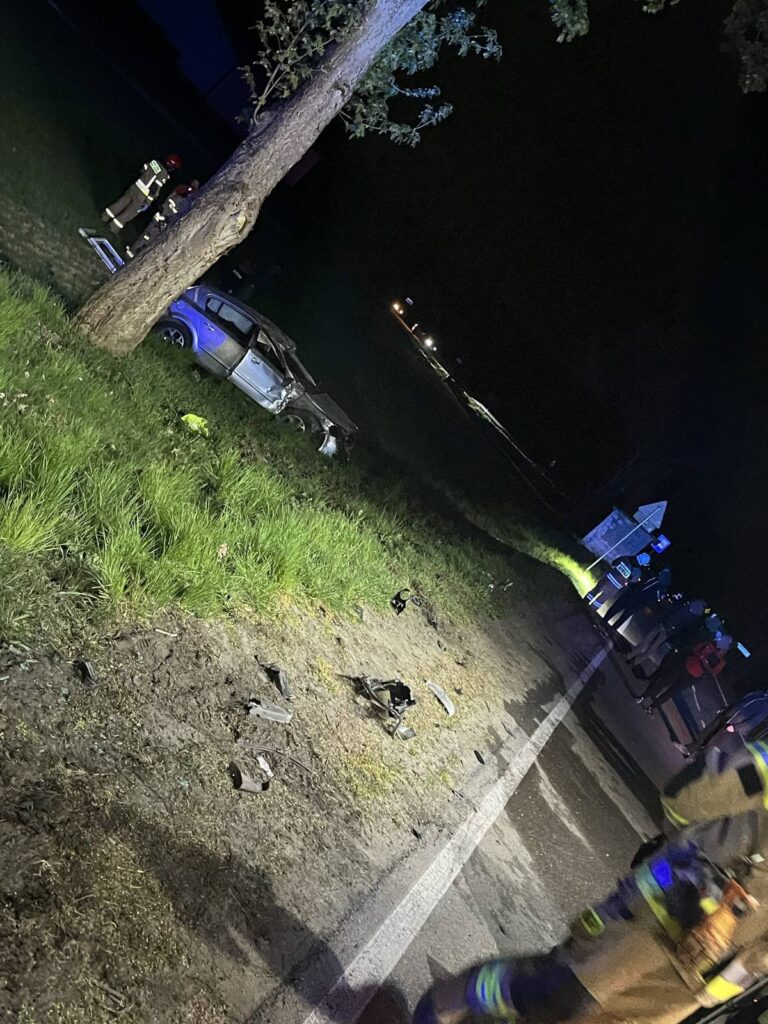 Samochód osobowy uderzył w drzewo, obok pracują strażacy w mundurach. W tle widać oświetloną drogę.